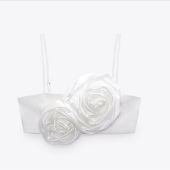 Zara Tops Zara Floral Appliqus Crop Top Poshmark